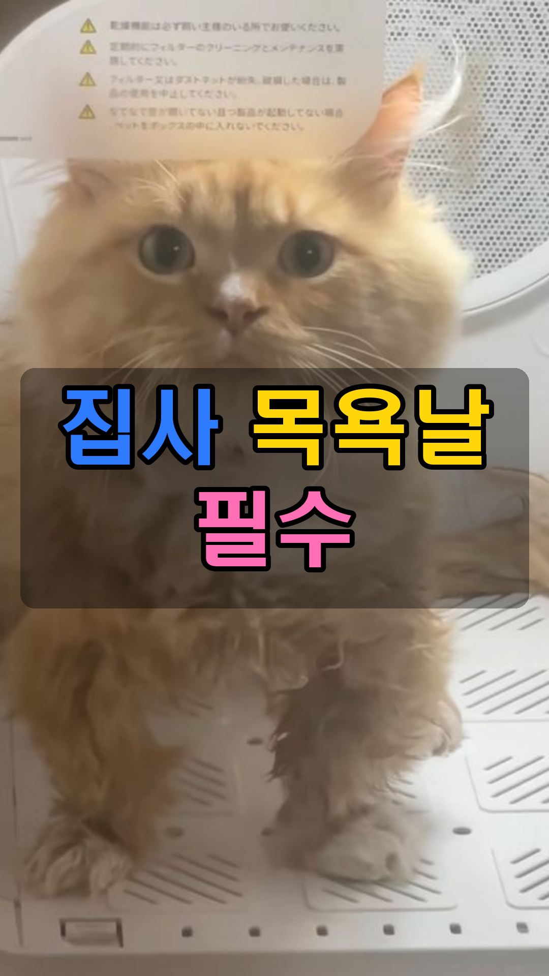 포즈텍 스마트 펫드라이룸 HM-CW03 (온도·풍량 정밀 조절, 화이트)