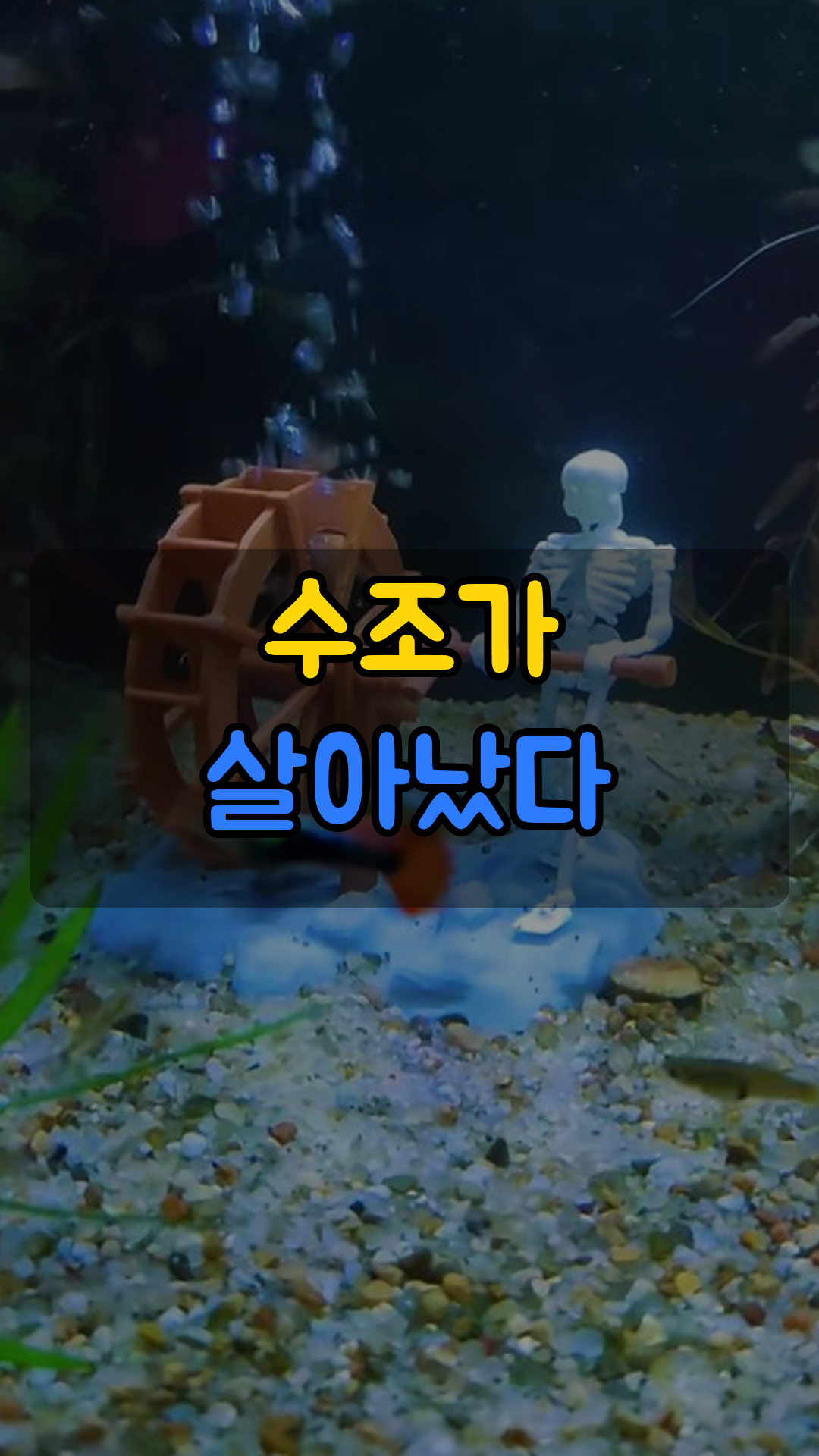 레아레아 춤추는 해골 어항 장식품